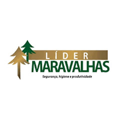 Cliente Araucária Engenharia