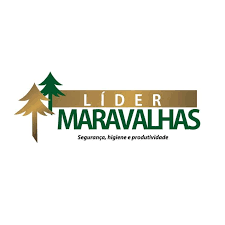 Cliente Araucária Engenharia